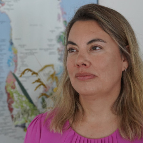 Companiile miniere trebuie să investească în Groenlanda pentru a evita căutarea ajutoarelor externe